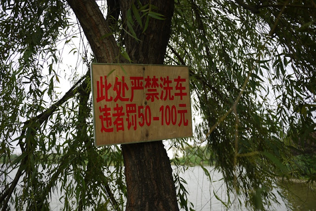Chinese sign posted on tree