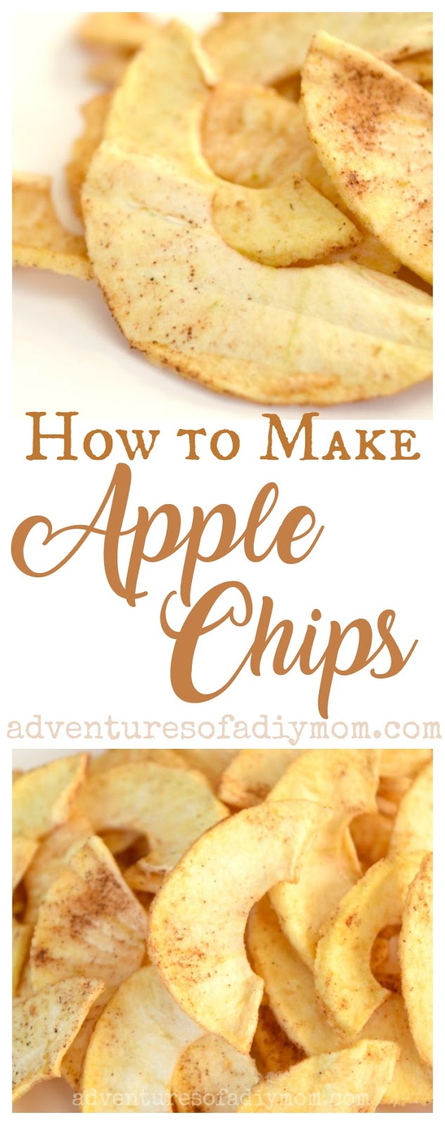 How to Dry Apples in a Dehydrator Adventures of a DIY Mom