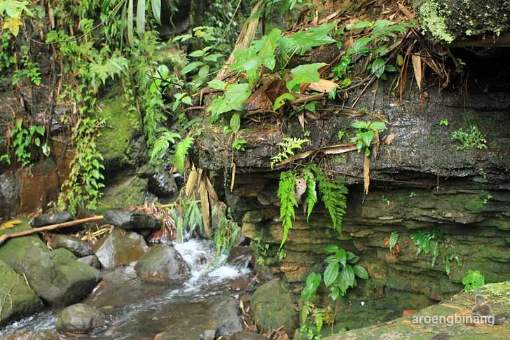 curug cadas ngampar bogor