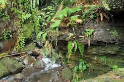 curug cadas ngampar bogor