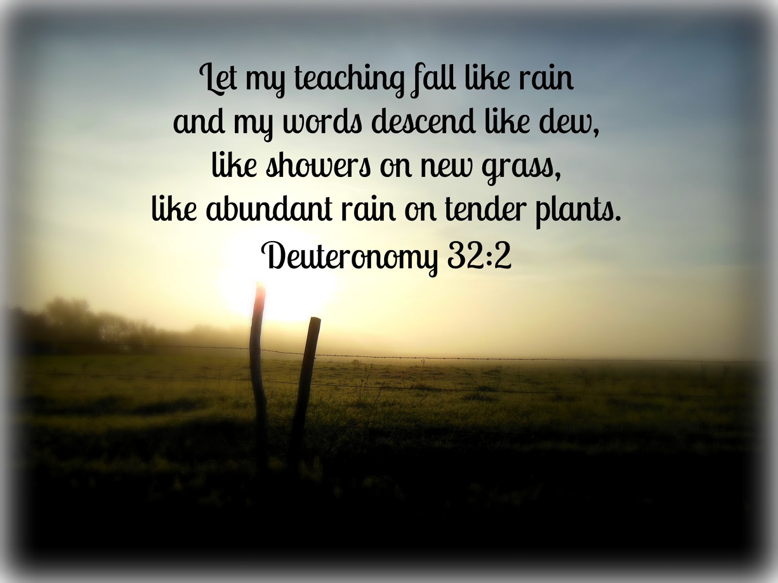 Kim's County Line Clearing the Fog