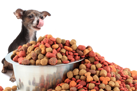 Deal with pets: Hypoallergenic Dog Food:best gift for your dog.