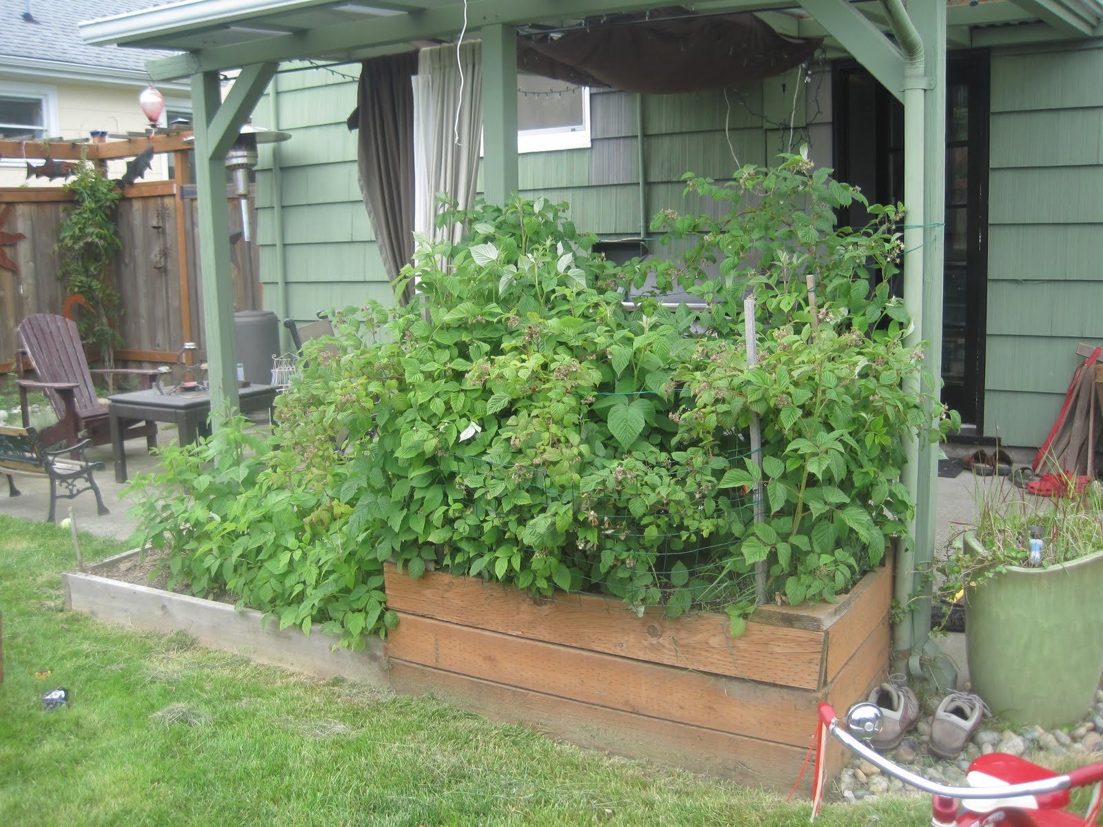 Bound By the Seasons.: Seattle Tilth's Chicken Coop and Urban Farm Tour.