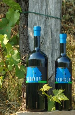 vino di porduttore sloveno packaging design grafica naming mktg lettering bottiglia eitchetta etichiette bouquet