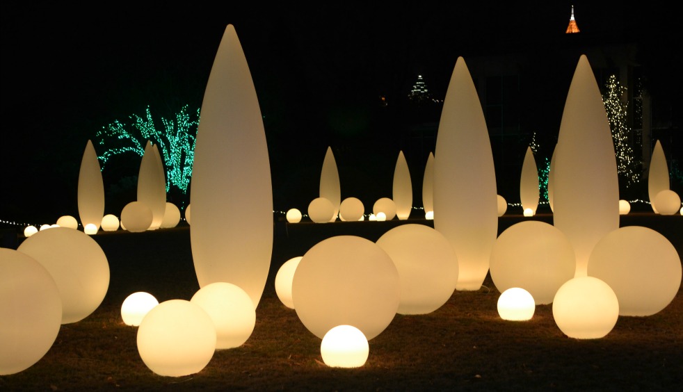 A Cook and Her Books: Magical nights of garden lights