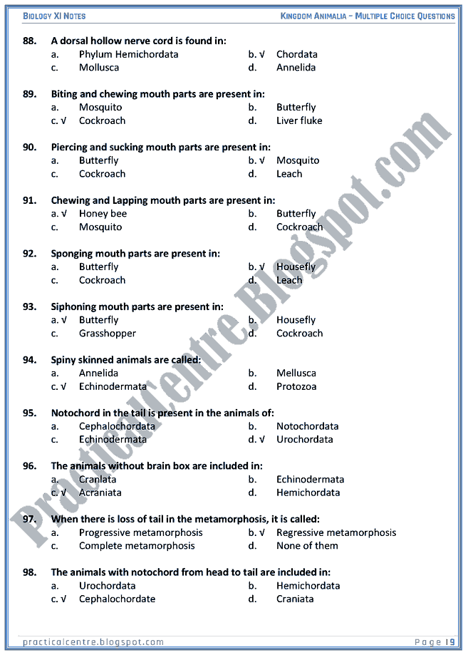 Kingdom Animalia - Multiple Choice Questions (MCQs) - Biology XI