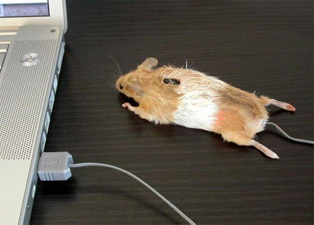 Diseño de mouse para computadora.