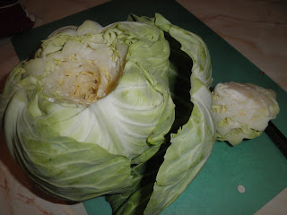 Secrets from the Cookie Princess: Grandma's Stuffed Cabbage Rolls ...
