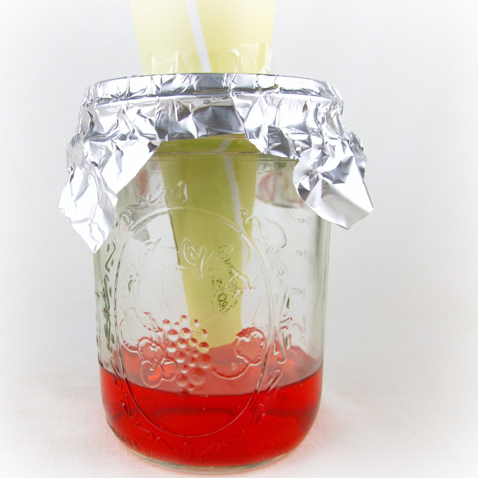 Rise and Shine: A Fruit Fly Trap That Works!