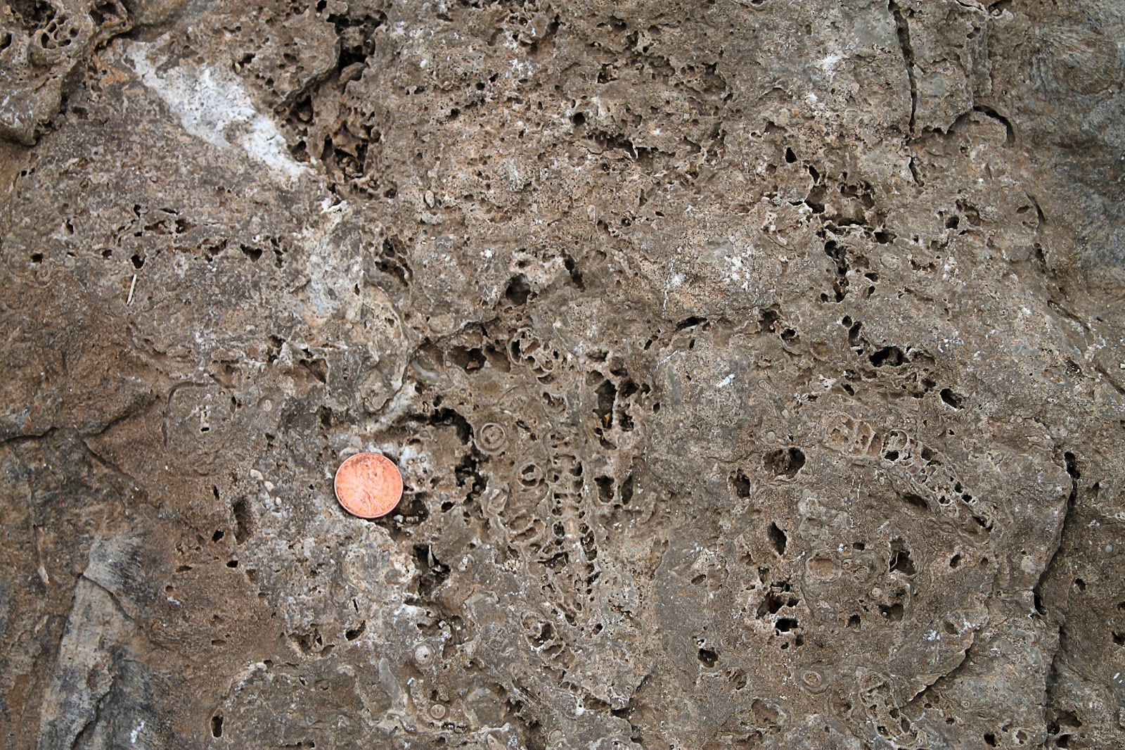 Guadalupe Mountains National Park Roc Doc Travel