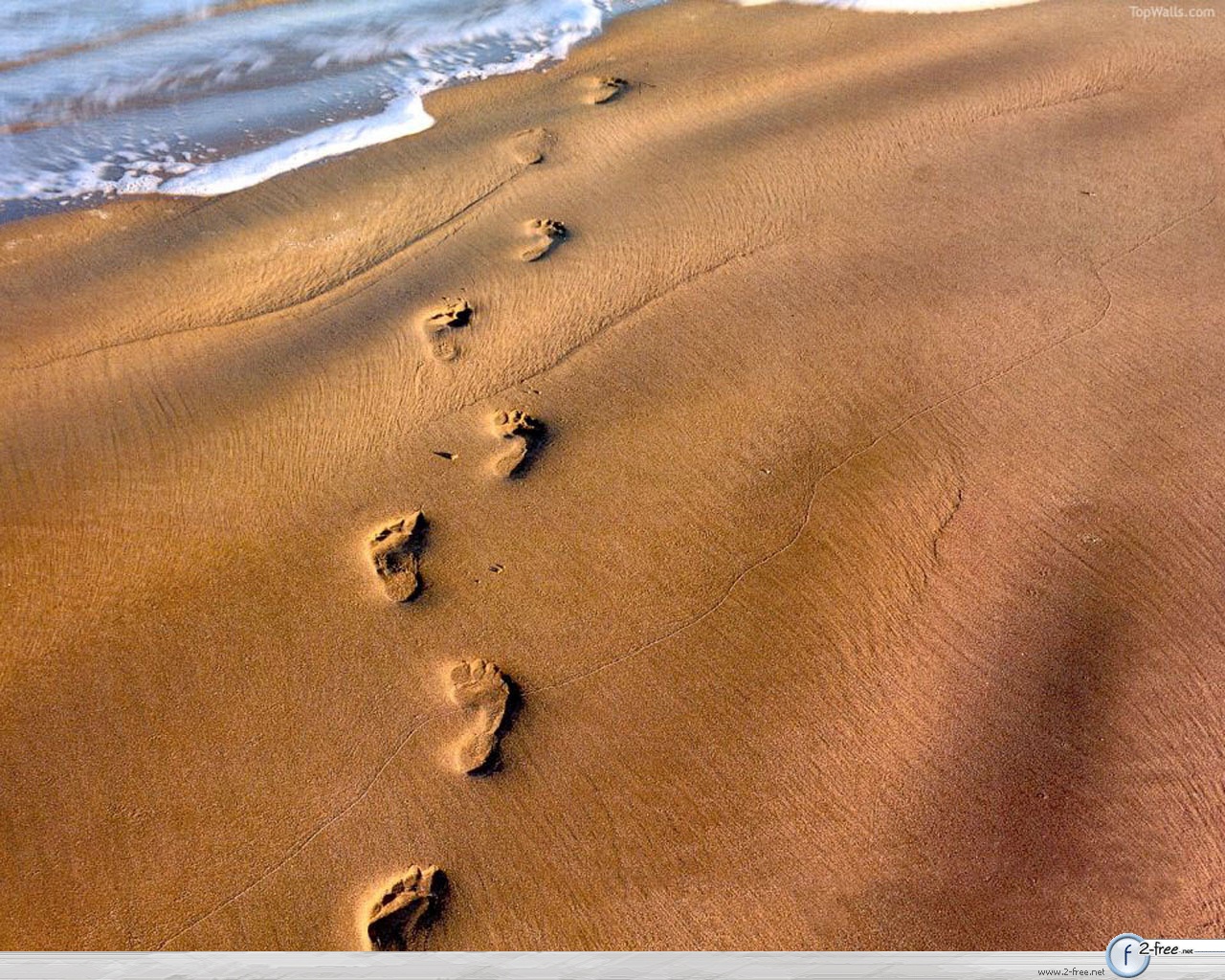 Footprints In The Sand Summary