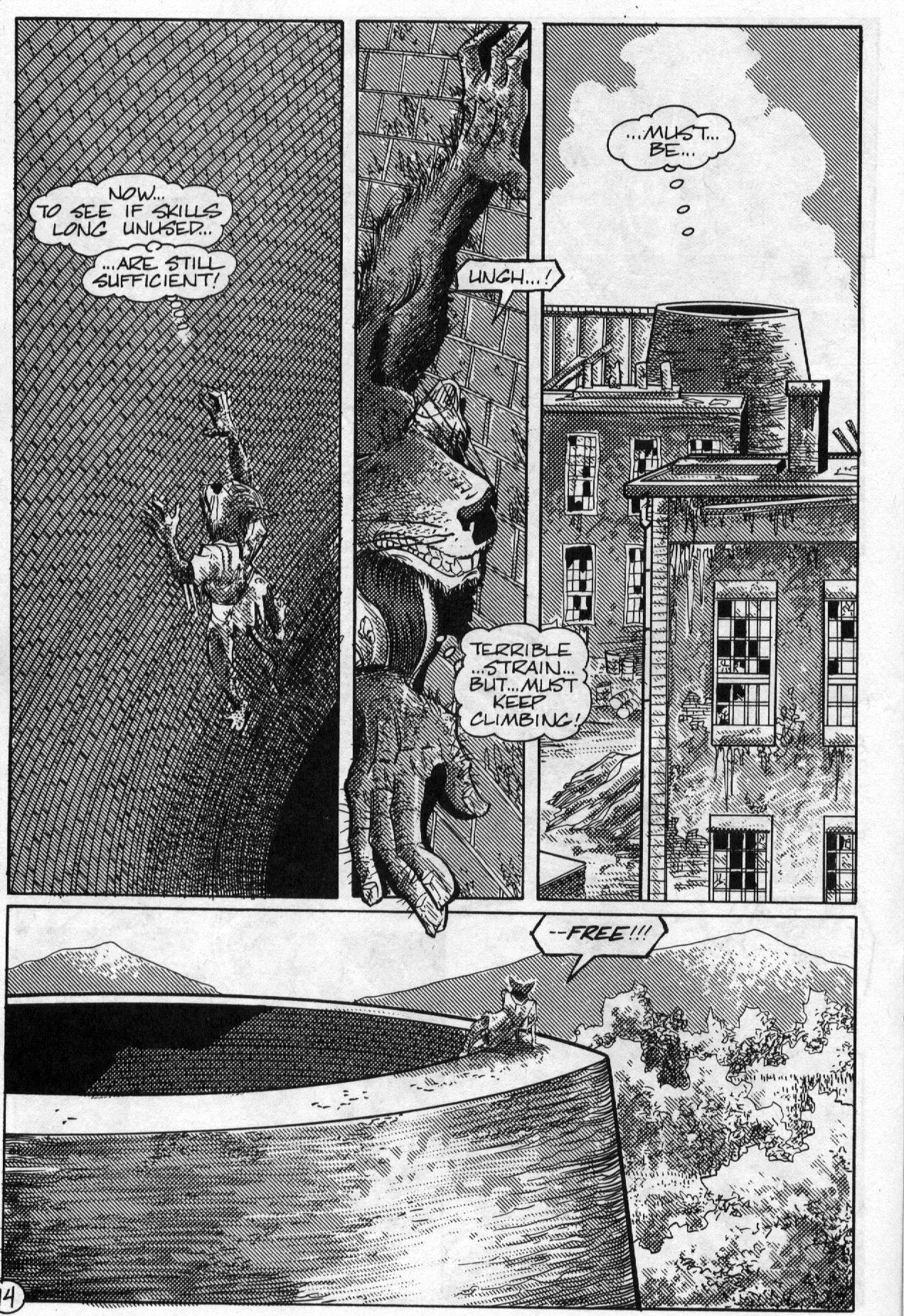 Read online Teenage Mutant Ninja Turtles (1984) comic -  Issue #59 - 16
