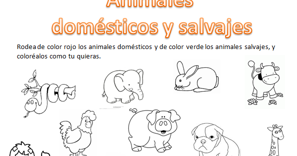 Animales Para Colorear Domesticos Y Salvajes Dibujos Para