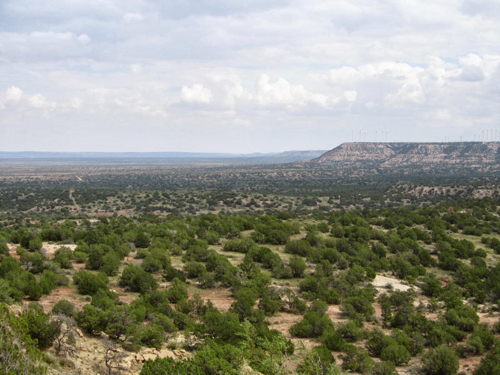 autoliterate Edge of the Llano Estacado, New Mexico