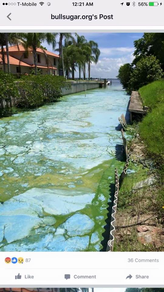 EYE ON MIAMI Florida&#039;s Toxic Water Crisis Demand resignation of Water
