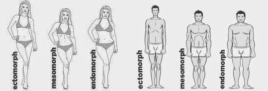 Melissa's Life - Life After 42: Body types