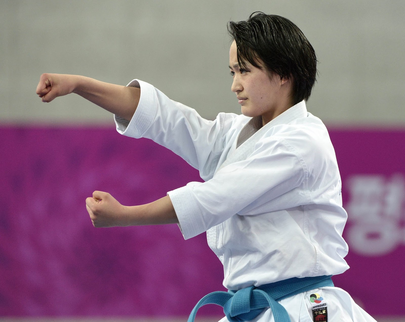 karate kata 10 Heian shodan