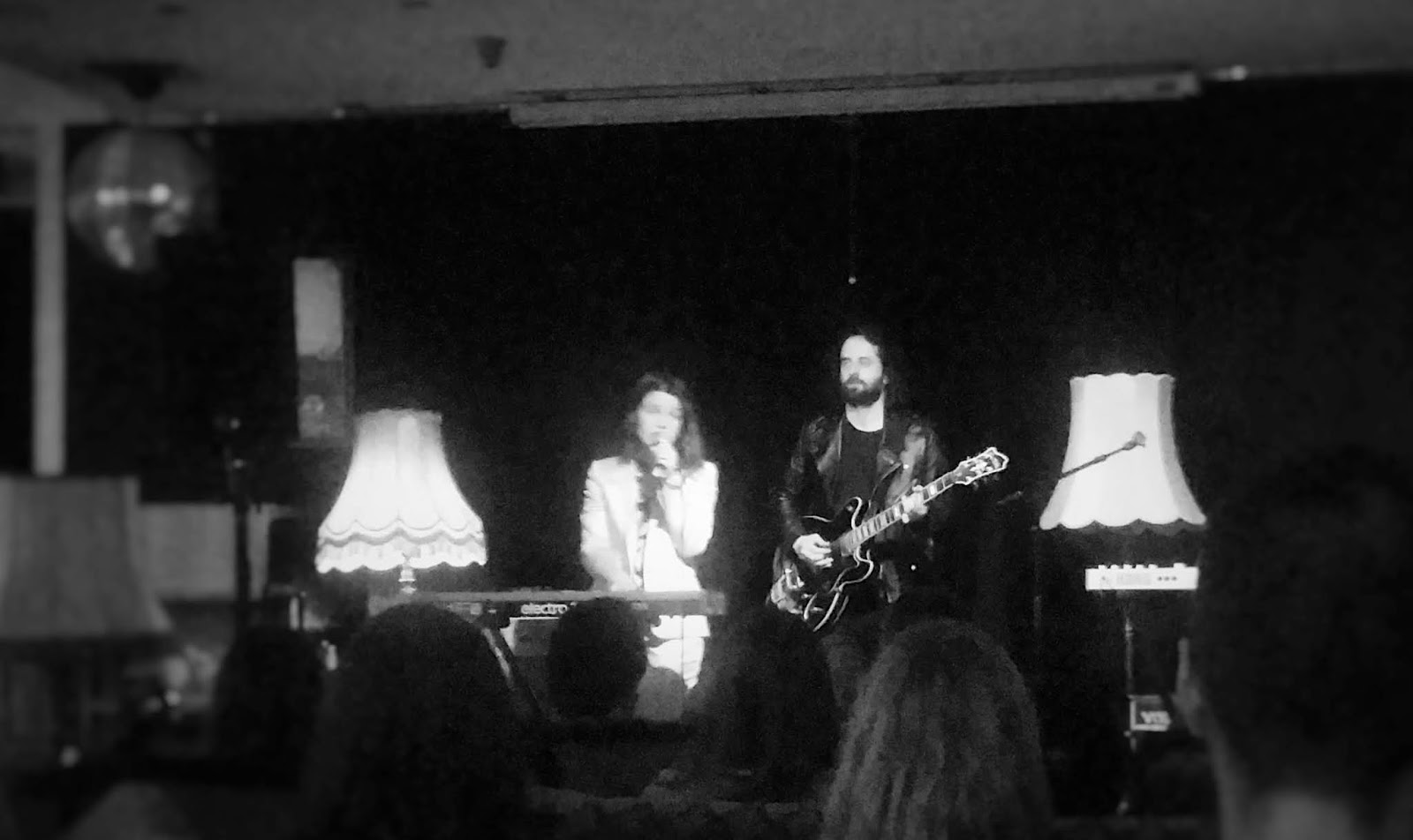 Demokratisch Links Europa