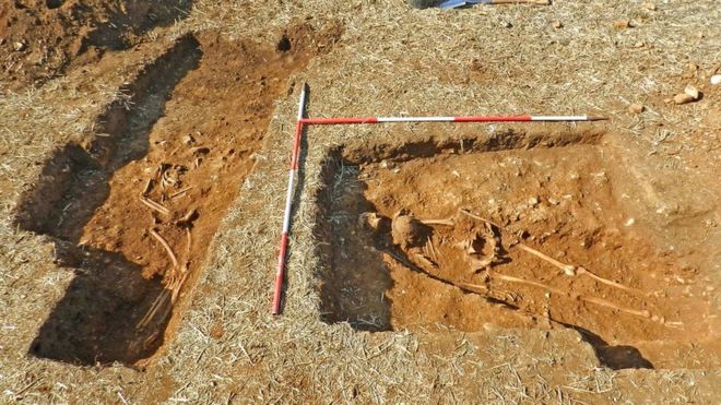 Portable Antiquity Collecting and Heritage Issues: Skeleton with Shield