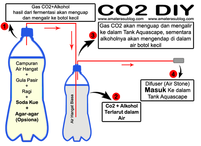 Cara Membuat Injeksi Co2 Diy Untuk Aquascape Amaterasublog Com