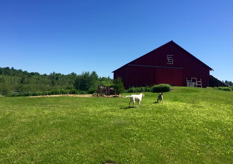 Healthy Food. Healthy Farms. Everybody Eats. Farmer Friday Sawyer
