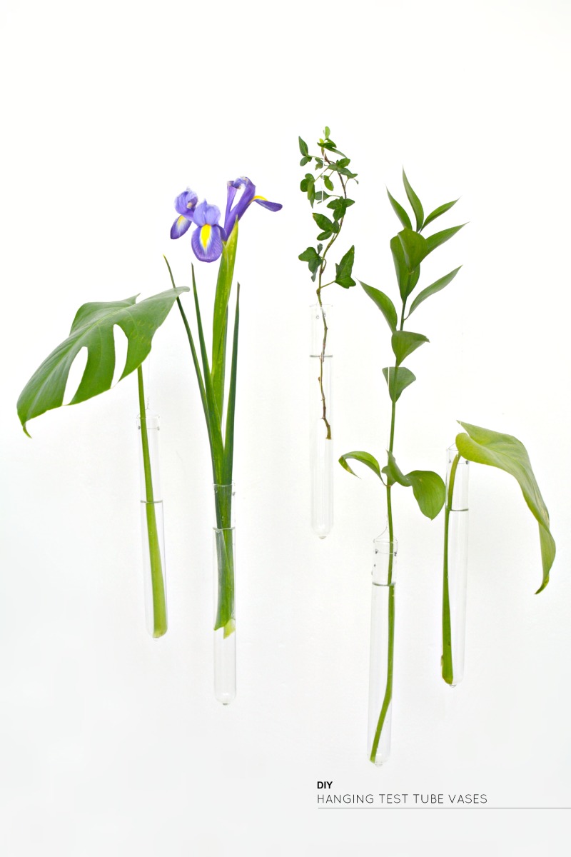 DIY hanging test tube vases — Caroline Burke Burkatron