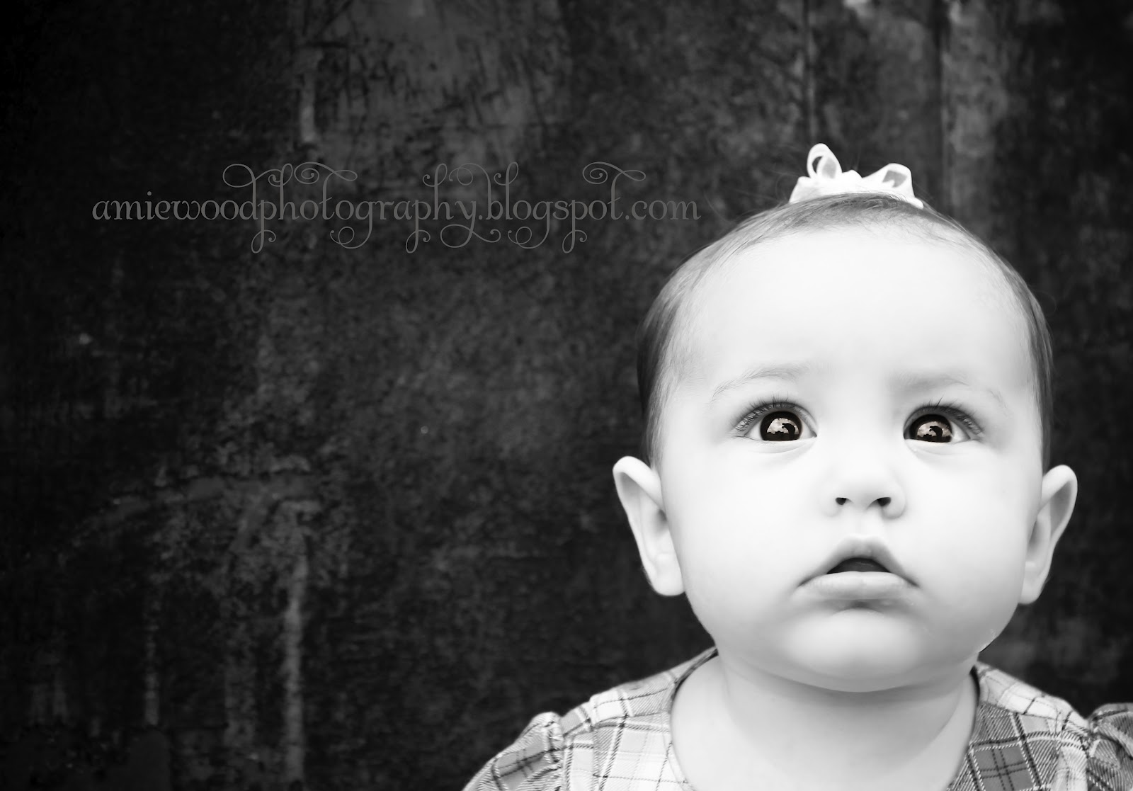Amie Wood Photography Payton 6 Month Shoot!