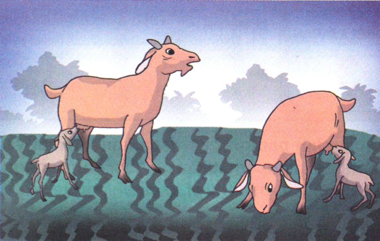 Menyusun Paragraf berdasarkan bahan yang tersedia dengan memperhatikan