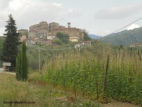 il paese in Valleriana Tuscany Italy with growing beans of Sorana