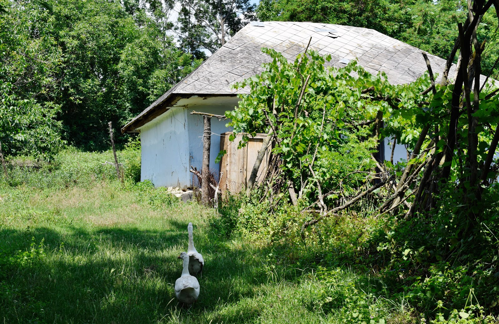 Visit Moldova / Descubre Moldavia La vida de los pueblos Valea y