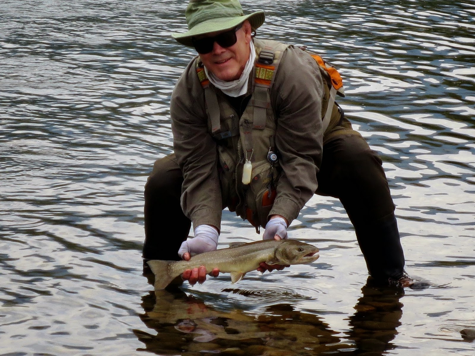 Elk River, Fernie British Columbia, Canada Idaho Fly Fishers Blog
