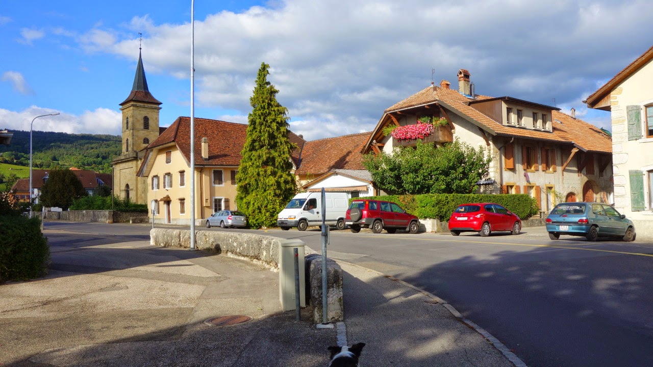 Bilder und Texte zu meinen Wanderungen mit Hund Von St. Blaise zum