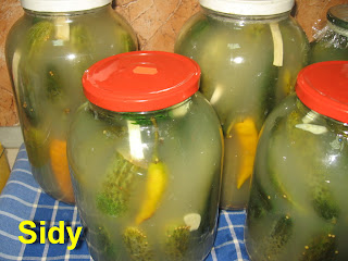 Castraveti in saramura by Daniela