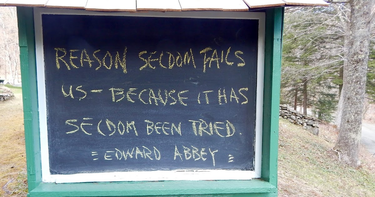 Edward abbey essays