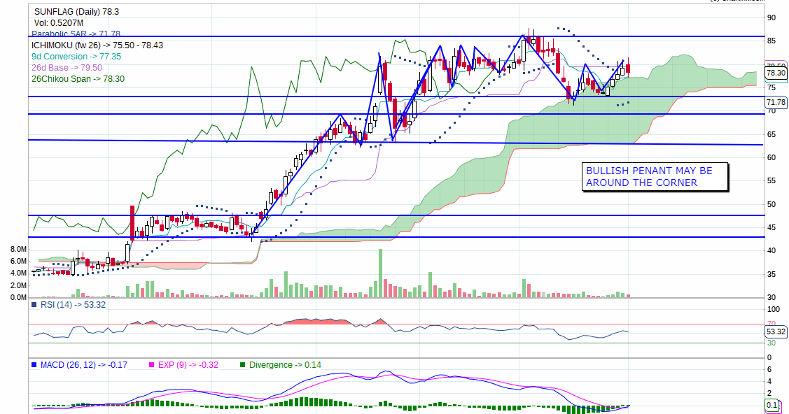 Weekly Investment Stock Pick Sunflag Iron & Steel Company