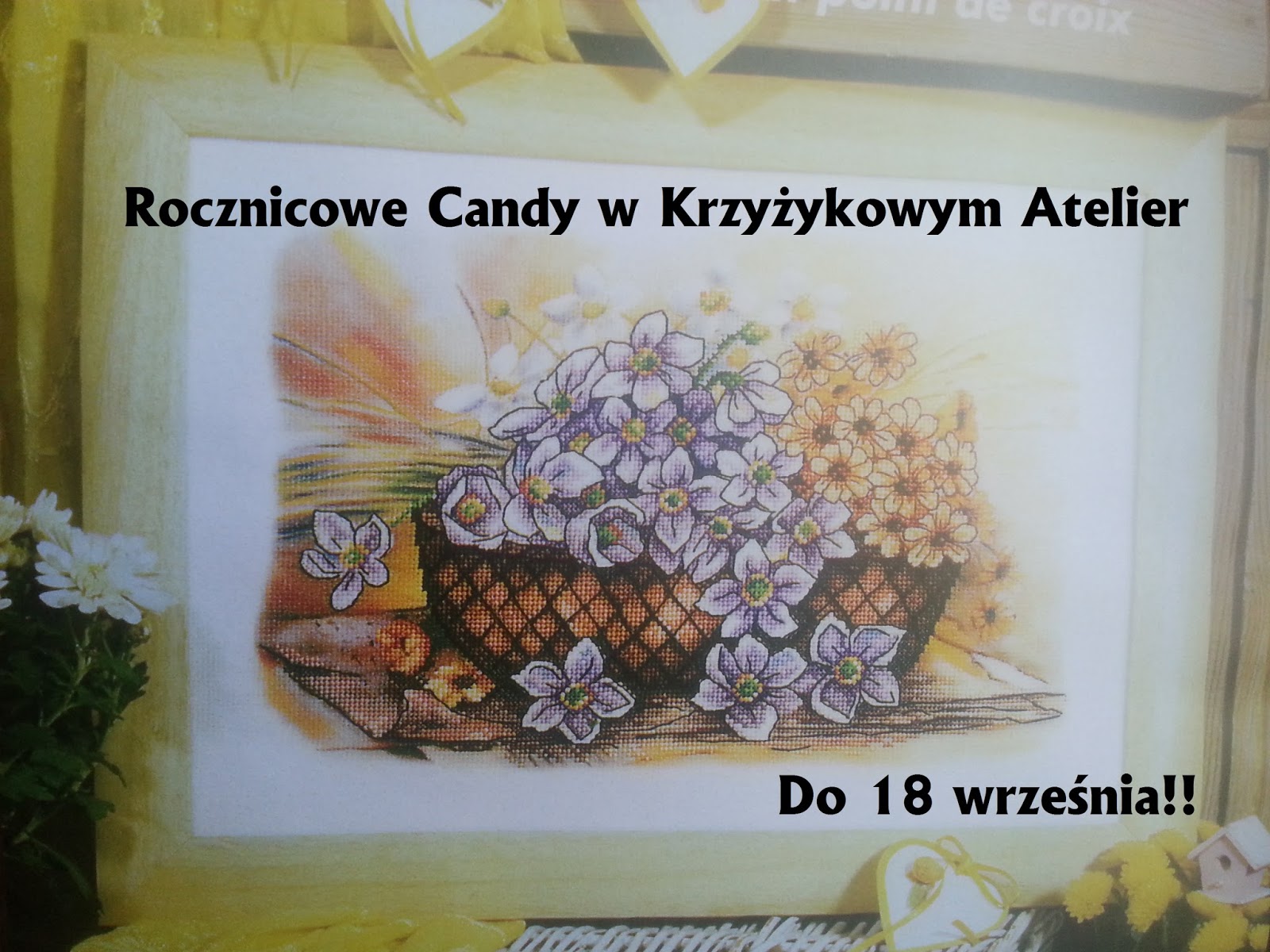 Candy w Krzyżykowym Atelier