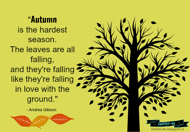 They are leaves. скелетированные листья магнолии. Autumn leaves стих. They are leaves. They are leaves.