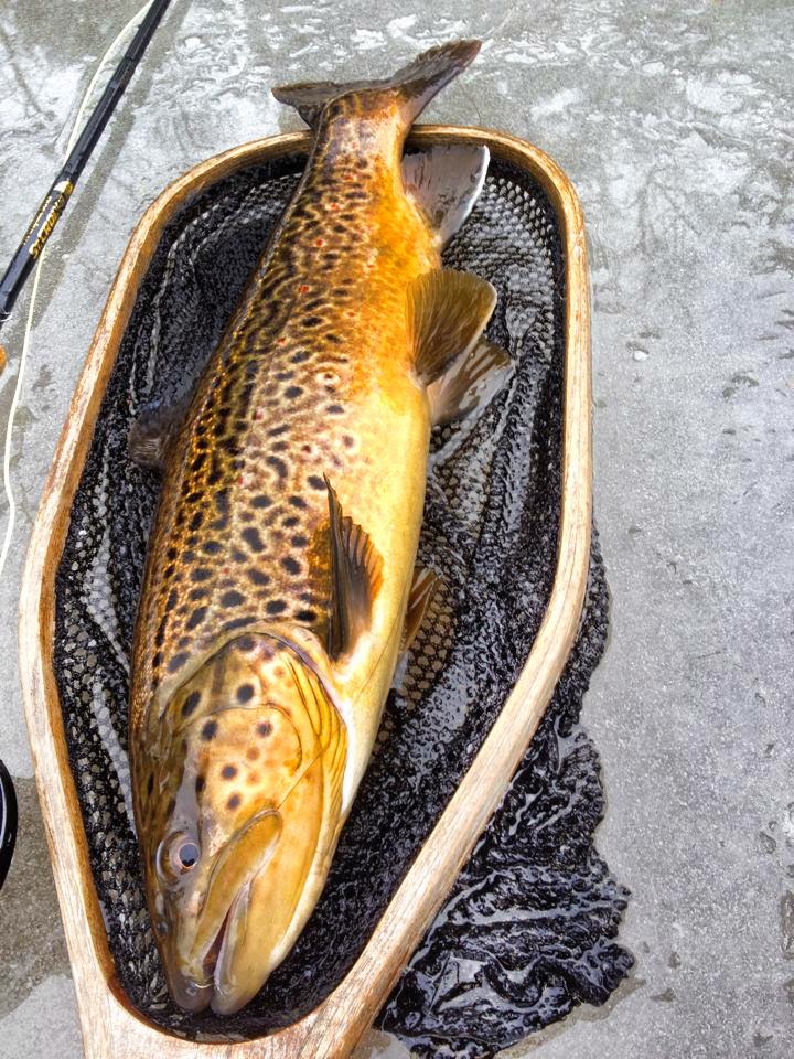 First Cast Fly Fishing New England Fly Fishing Lessons Cocheco River