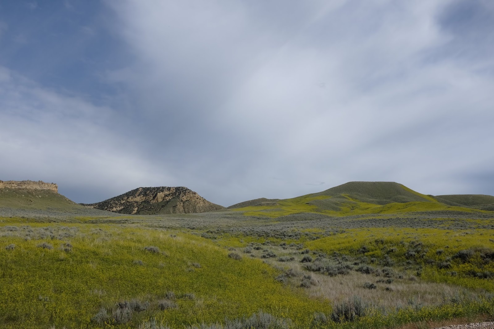 Pueblo, CO Bighorn National Forest, WO