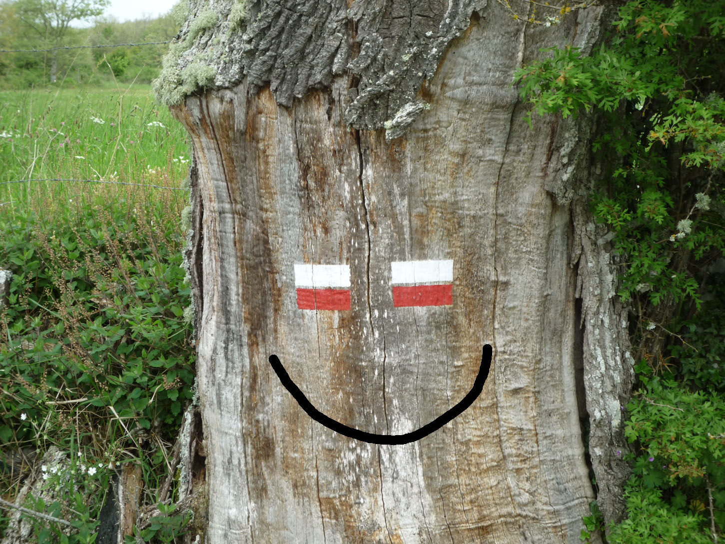 El río Ebro en Territorio Cántabro Actividades en Valdeprado del Río