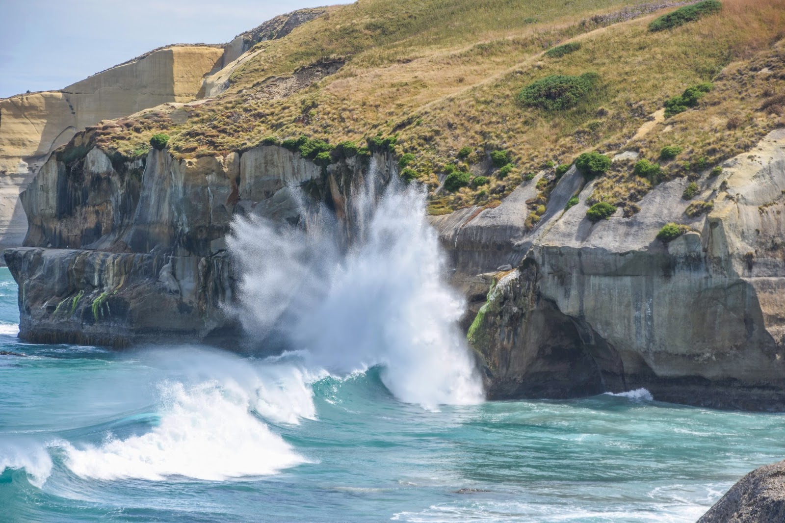 Paws Awhile Tunnel Beach