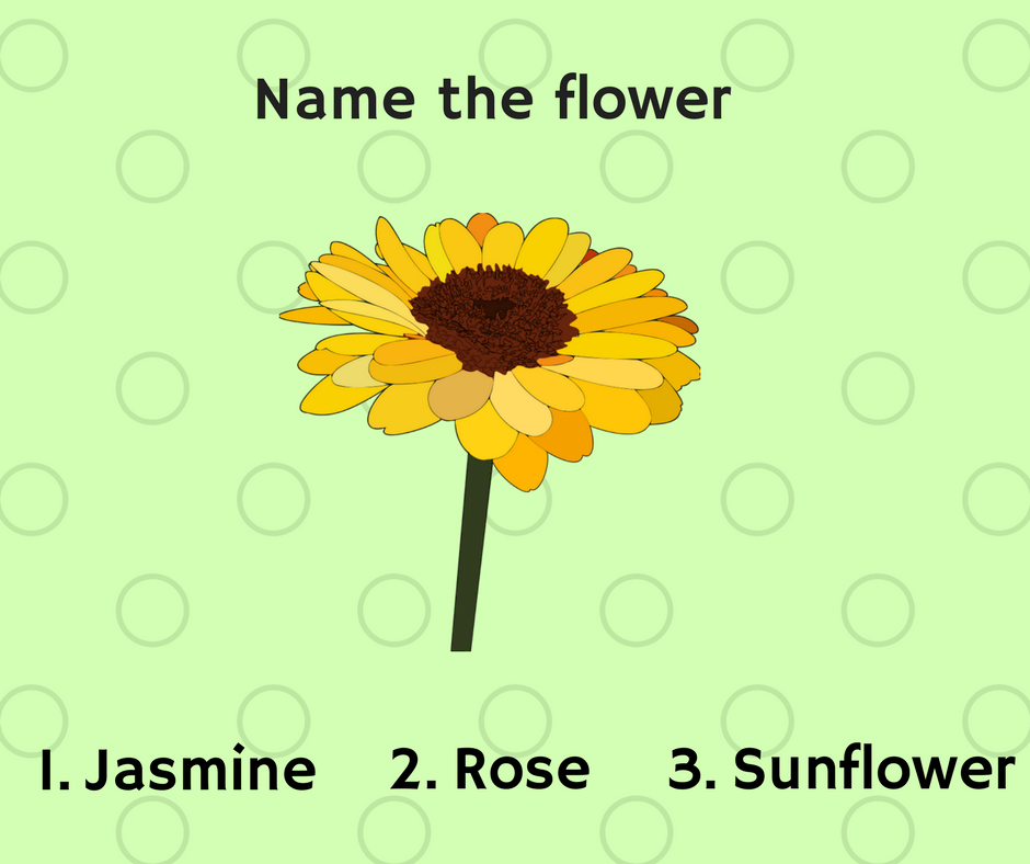 English Chat Page chatonpicturequiznametheflowerfacebookchat