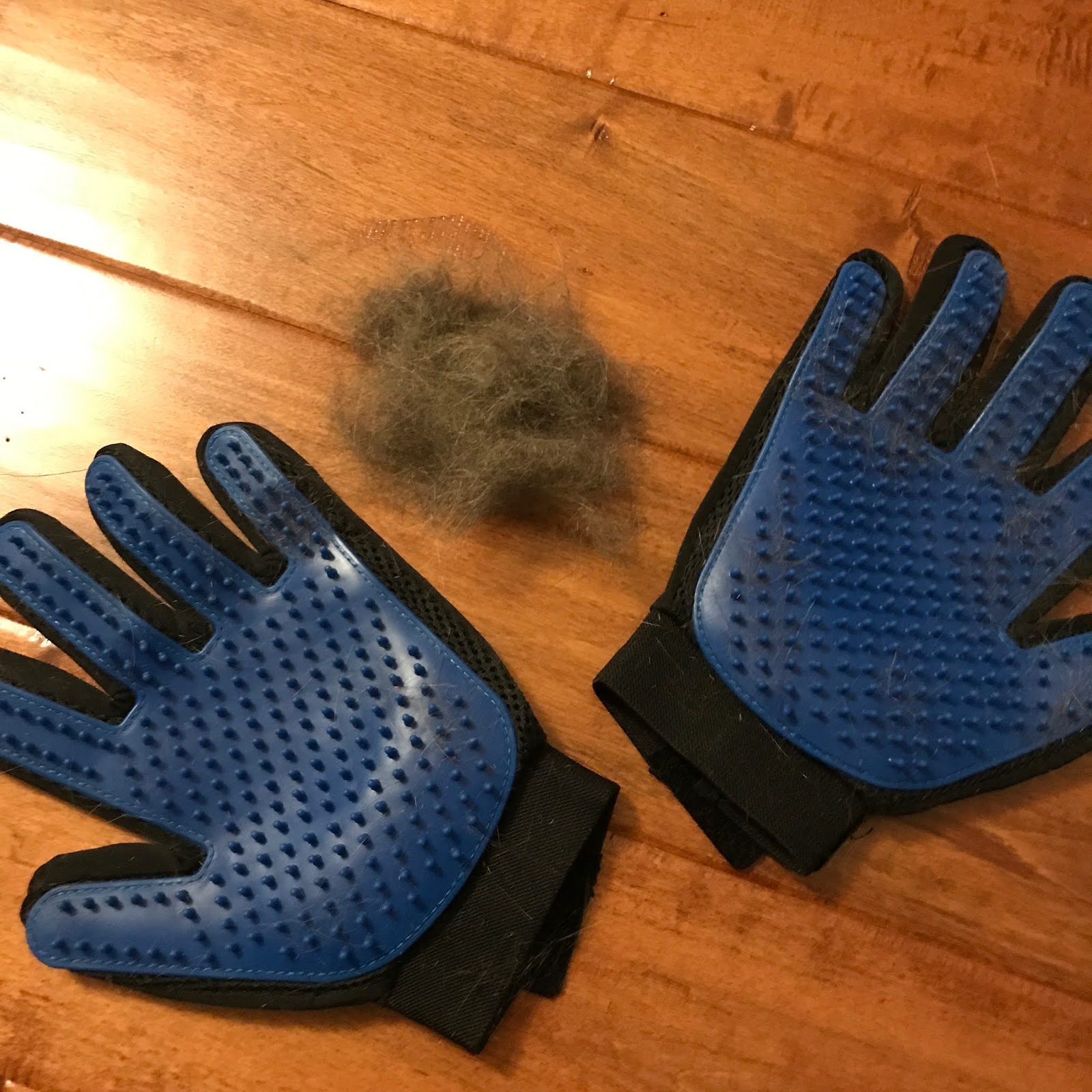 Texas Decor This And That