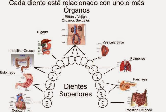 Acupuntura y Terapias Alternativas..un Tratado de como Vivir la Vida ...