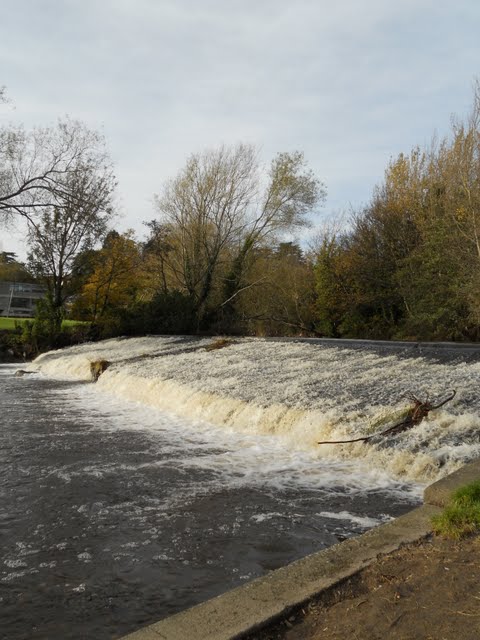 Walk the River Dodder in Dublin - waterfall
