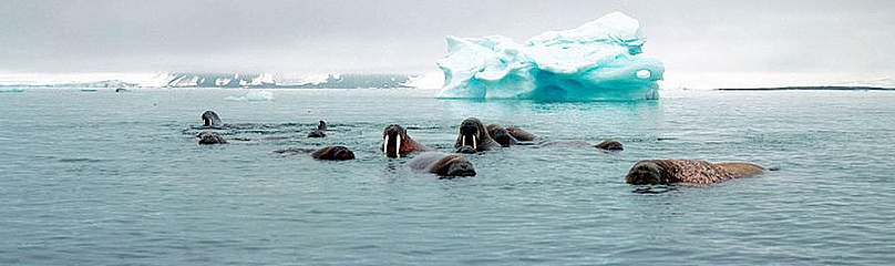 image-5175