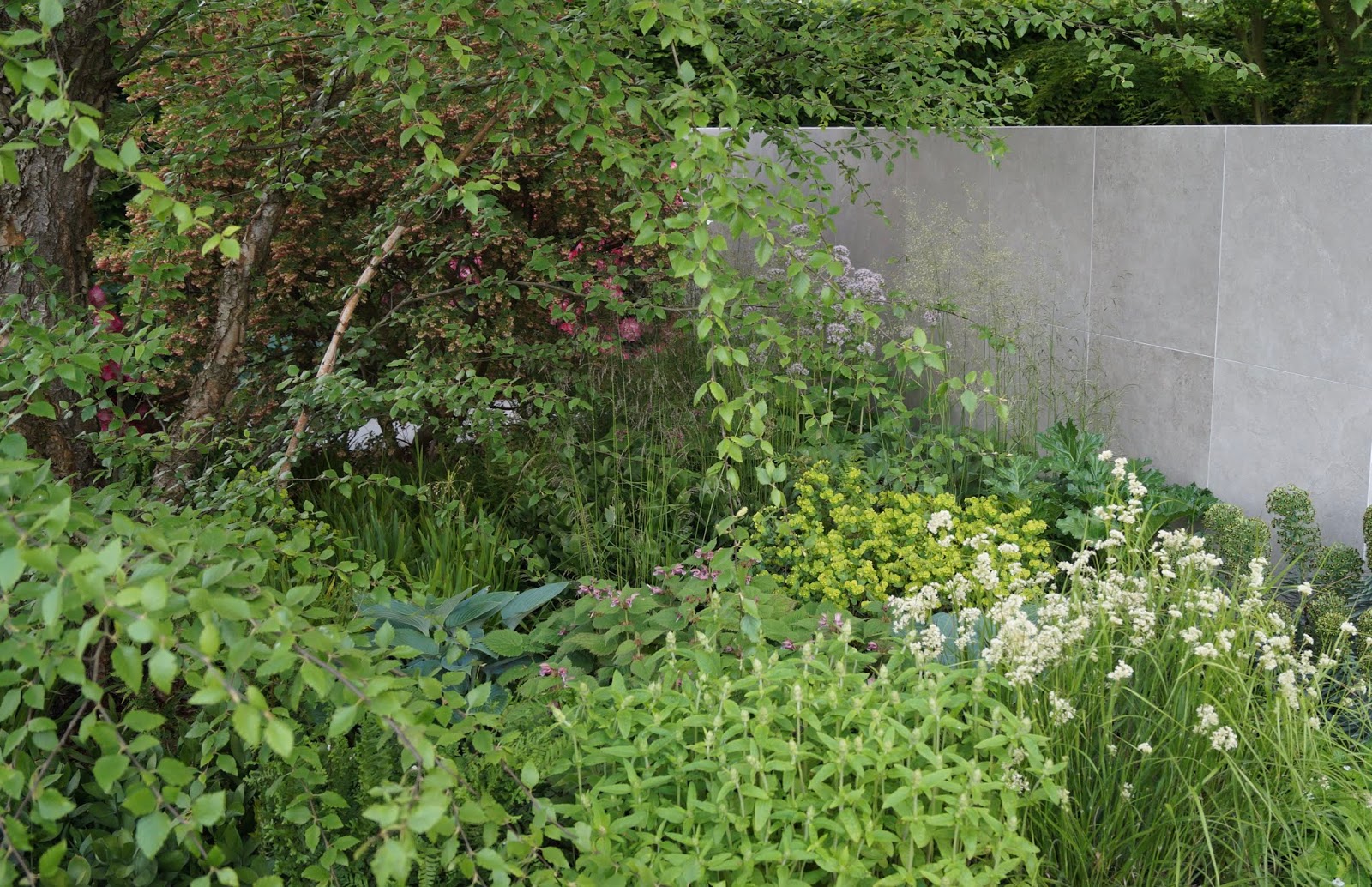 Noel S Garden Blog Telling The Story Of Uk Naturalistic Planting