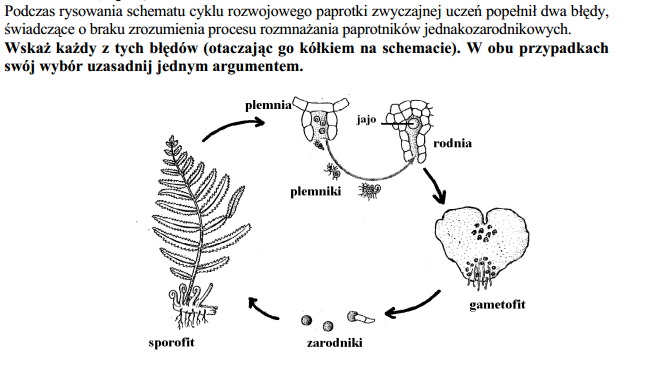 Sprawdzian Z Biologi Klasa 5 Mszaki I Paprotniki Biologia: Mszaki i paprotniki