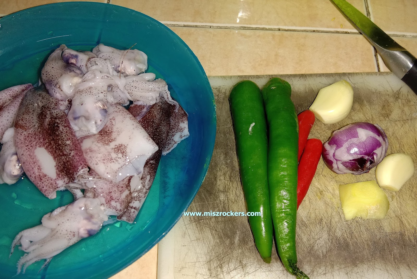 Resepi Sambal Sotong Masak Cili Hijau Ceritera Si Gadis Biru