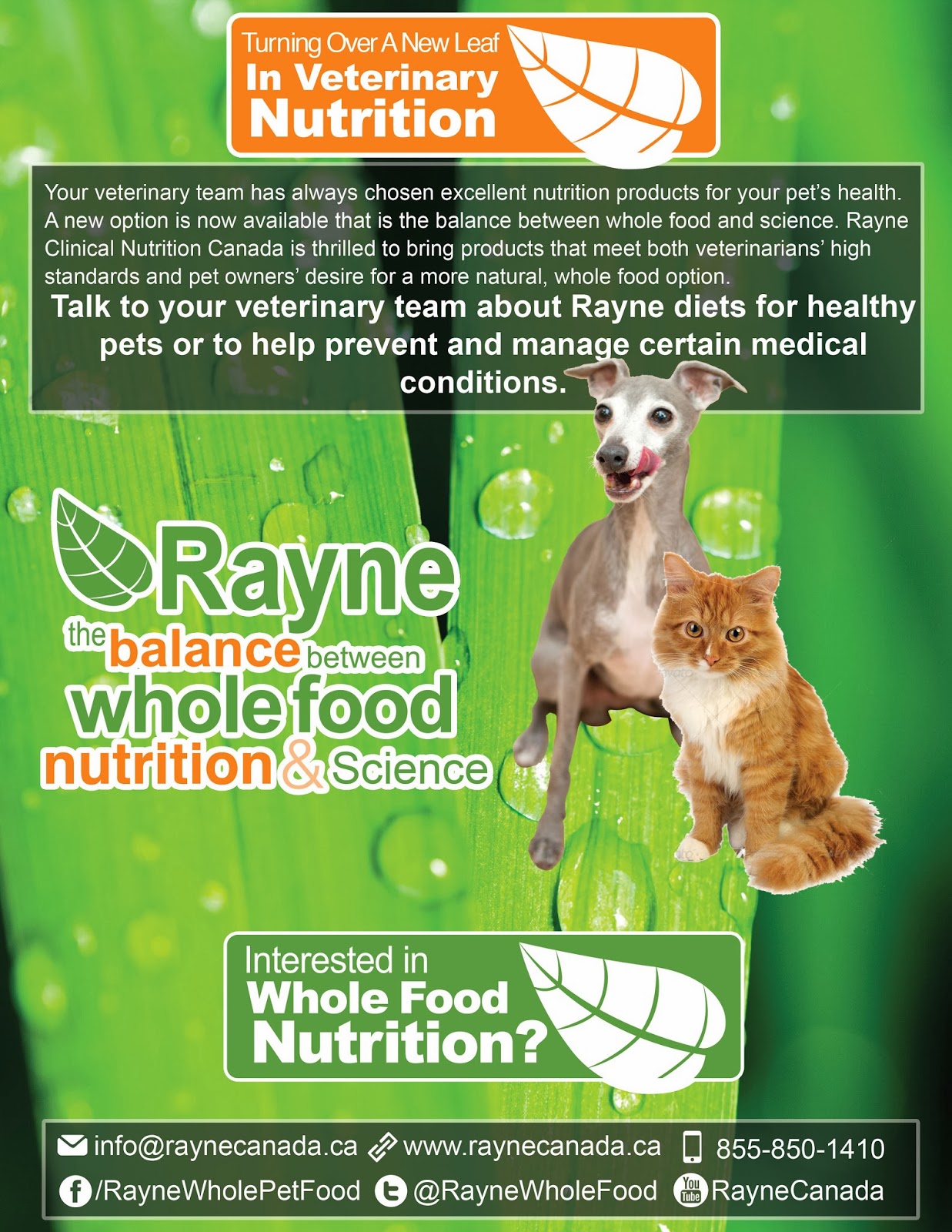 Royal City Animal Hospital Whole Food Pet Nutrition